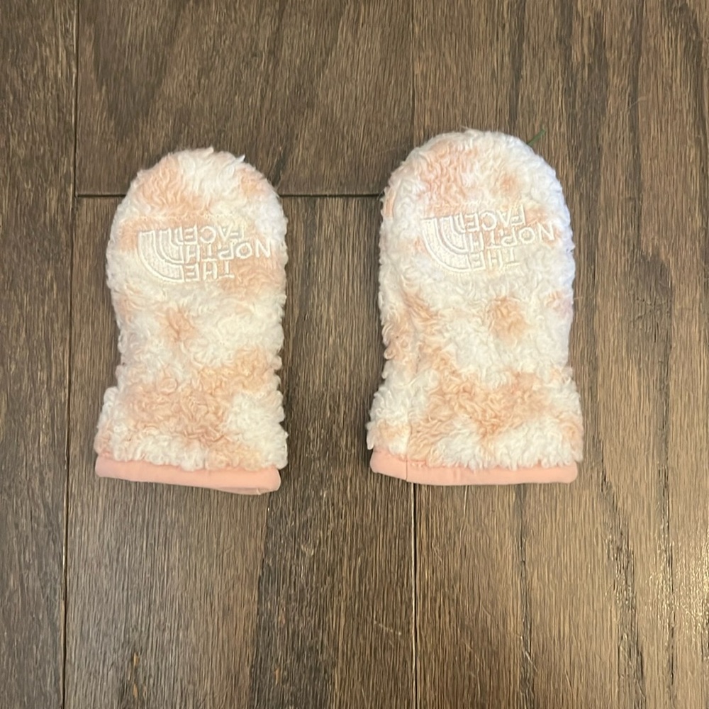The North Face mittens (6-24 months)